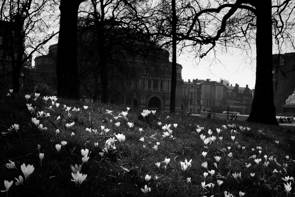 Londra, London, balck and white, back in black